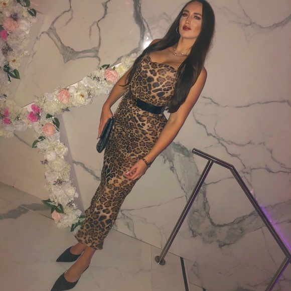 Meet your Posher, Baylee - Picture 1 of 1